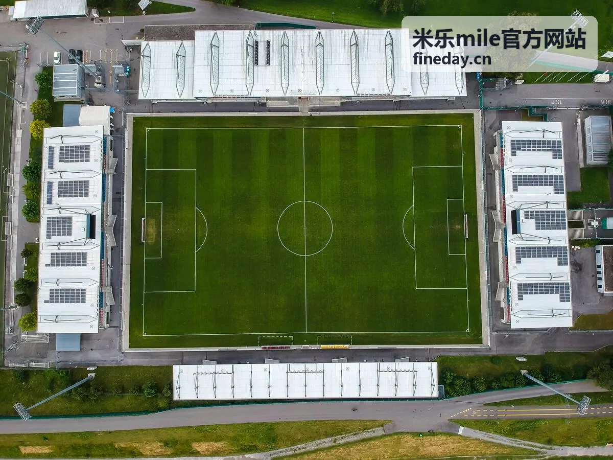米乐mile英雄阵容策略分析